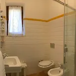 Apartment To Dream In