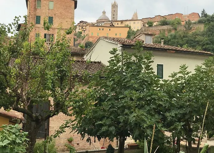 To Dream In Daire Siena